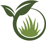 Reno Landscaping Service