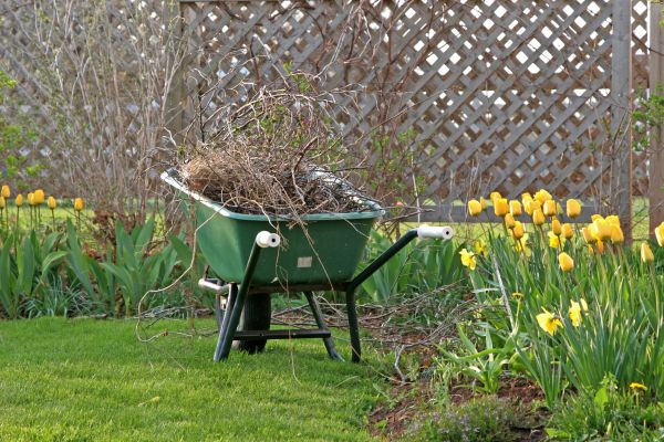 Flower Bed Cleanup Service in Reno