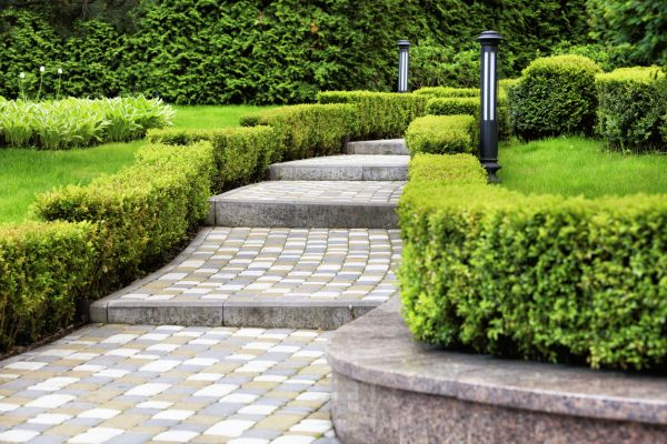 Backyard Remodeling in Reno