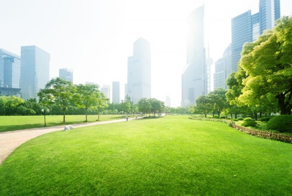 Commercial Landscape Maintenance in Reno