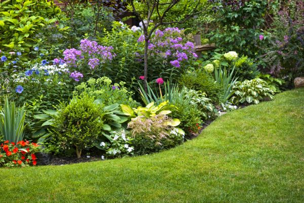 Flower Bed Service in Reno
