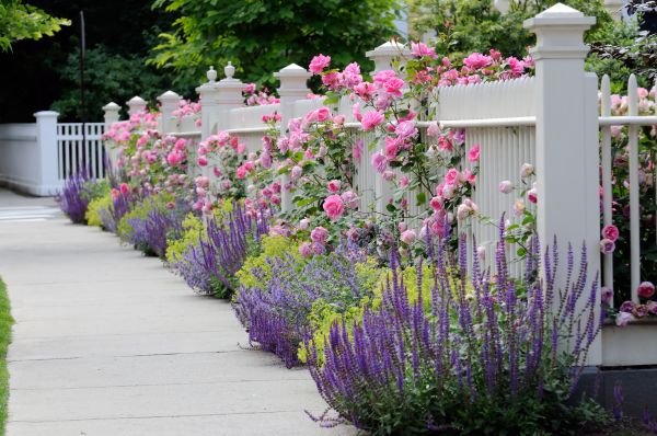 Garden Handyman Service in Reno