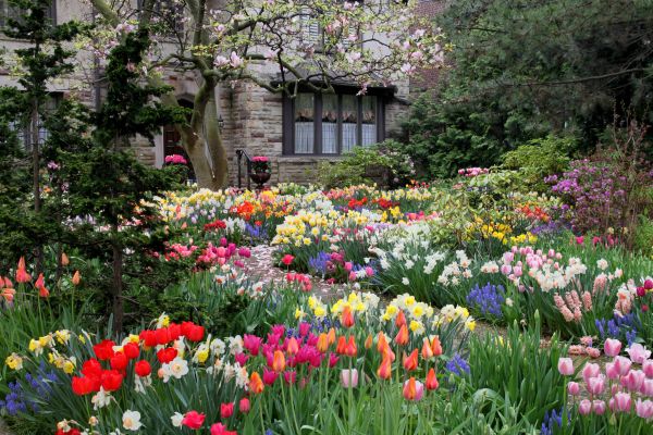 Garden Maintenance Service in Reno