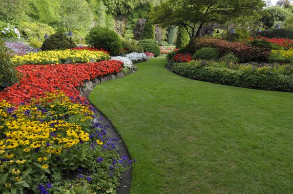 Landscaping Maintenance in Reno