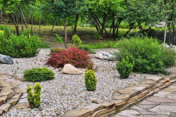 Rock Landscaping in Reno