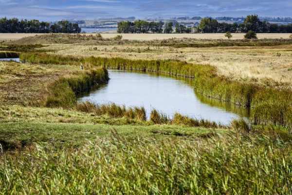 Swale Landscaping in Reno