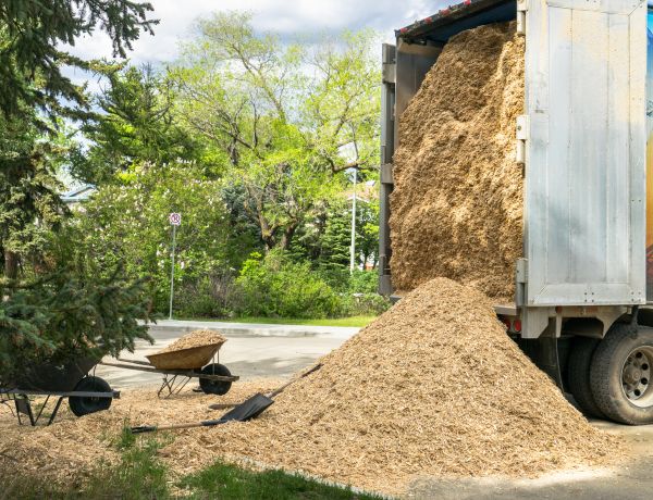 Wood Chips Delivery in Reno