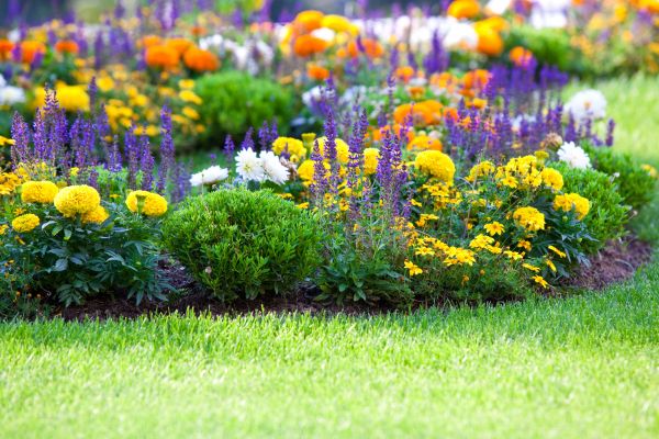 Garden Installation in Reno
