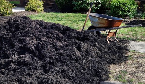 Black Mulch Delivery in Reno