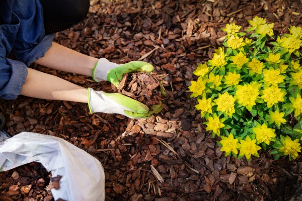 Garden Mulching in Reno