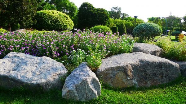 Boulder Landscaping in Reno