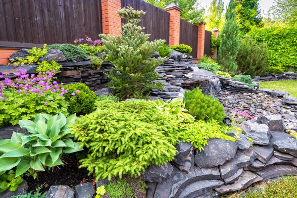 Landscape Remodeling in Reno
