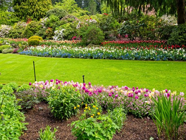Residential Landscape Design in Reno