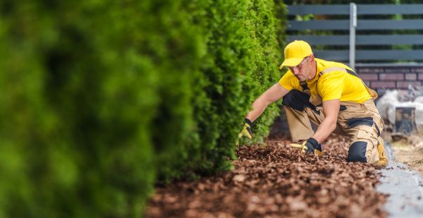 Cypress Mulch Installation in Reno