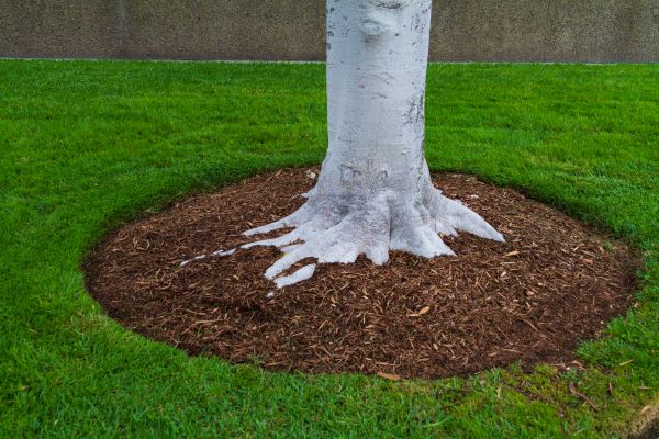 Brown Mulch Installation in Reno