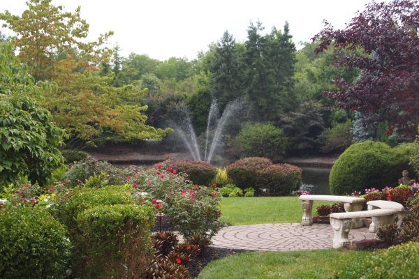 Courtyard Design Service in Reno