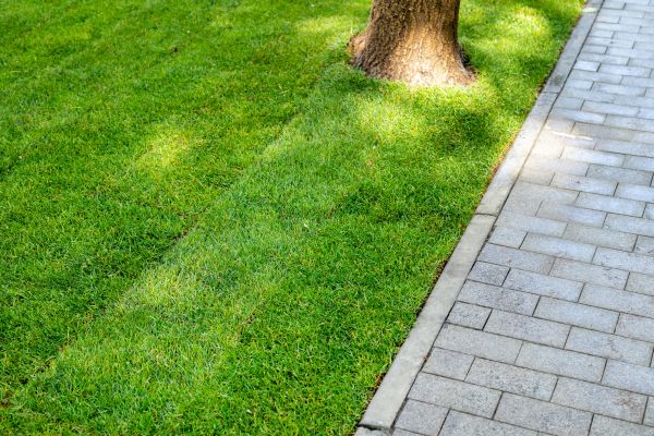 Border Stone Installation in Reno
