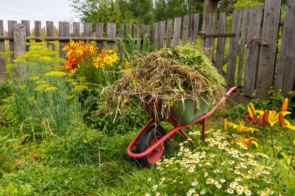 Garden Cleanup Service in Reno