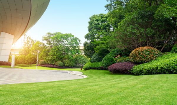 Business Landscape Design in Reno