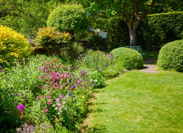 Yard Landscaping Service in Reno