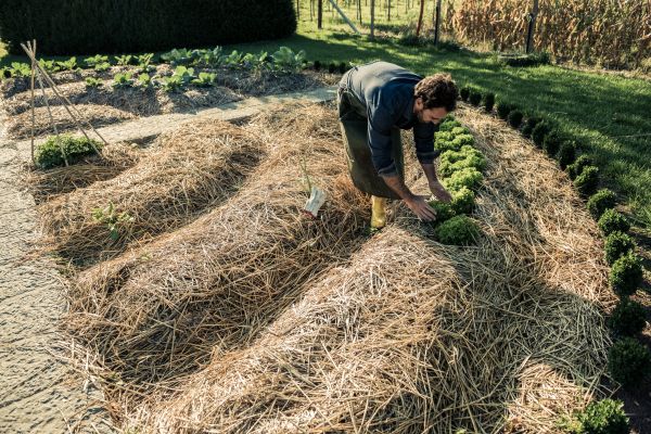 Straw Mulching Service in Reno