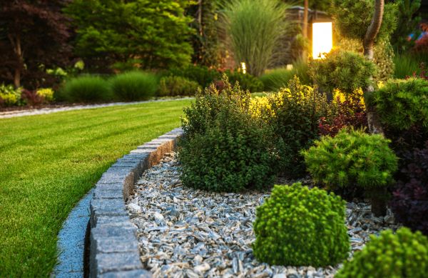 Landscaping Service in Reno