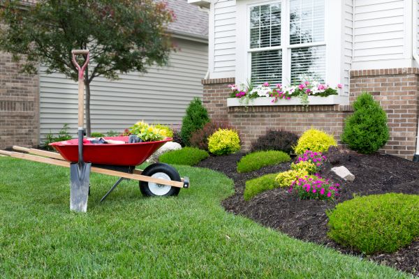 Tree And Shrub Planting in Reno