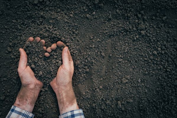 Soil Installation in Reno