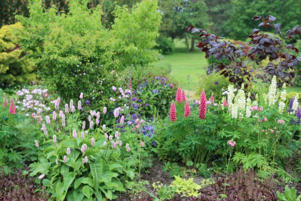 Flower Bed Planting in Reno
