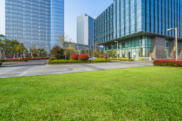 Industrial Landscaping Service in Reno
