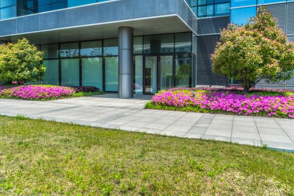 Commercial Gardening in Reno