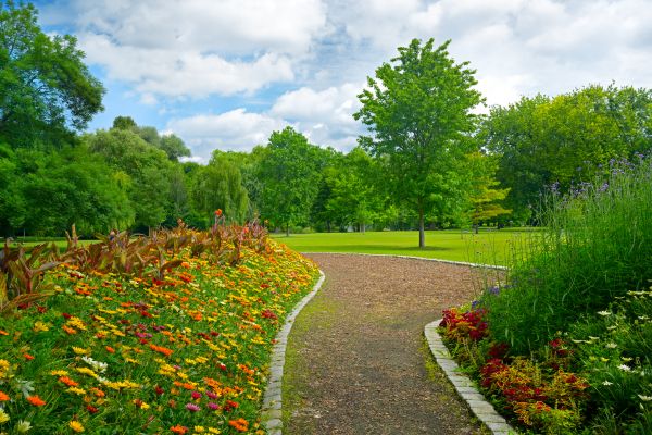 Park Landscaping in Reno