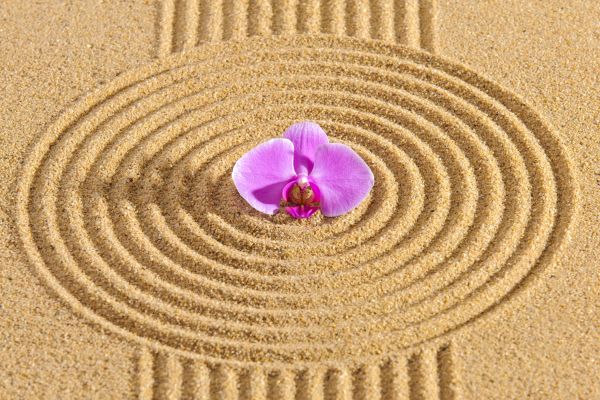 Sand Garden Landscaping in Reno
