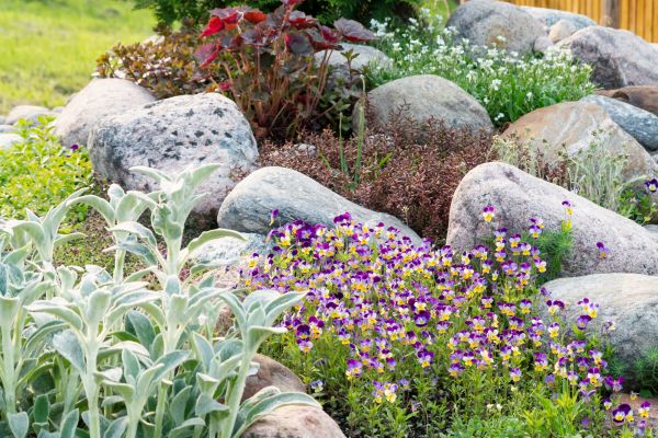 Rock Garden Installation in Reno