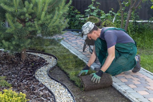 Landscaping Modification in Reno