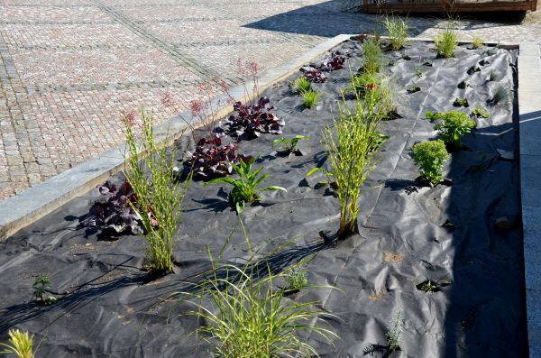 Landscape Fabric Installation in Reno