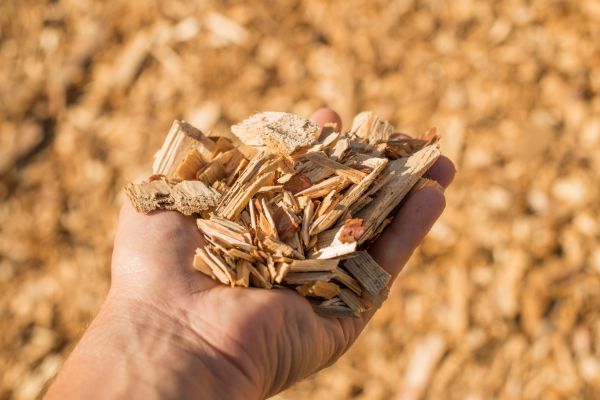 Wood Chips Spreading in Reno