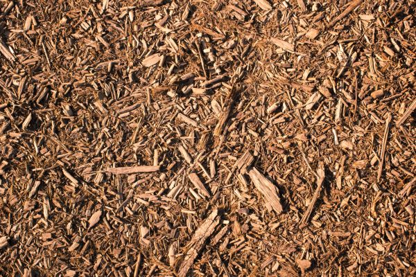 Wood Chips Removal in Reno