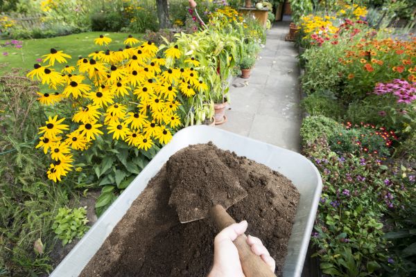 Topsoil Replacement in Reno