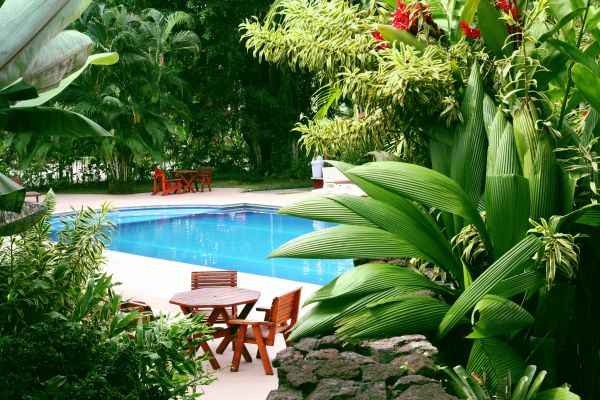 Pool Area Landscaping in Reno