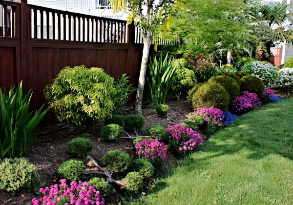 Garden Bed Construction in Reno