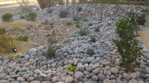 Yard Xeriscaping in Reno