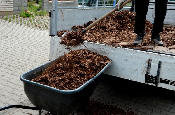 Playground Mulch Delivery in Reno