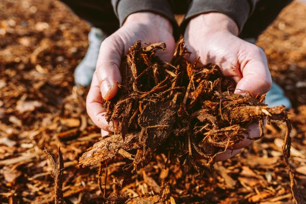 Bark Chips Delivery in Reno