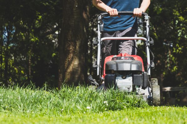 Garden Trimming Service in Reno