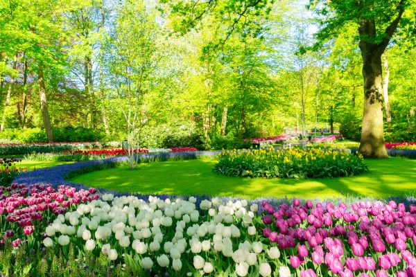 Flower Landscaping in Reno