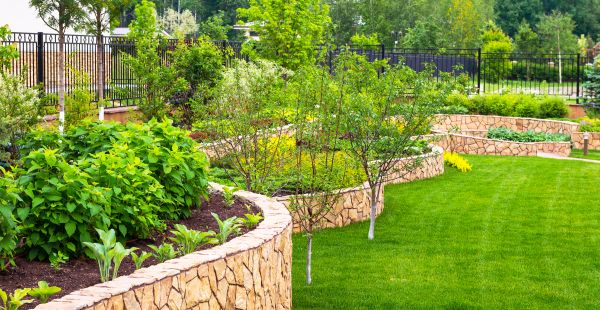 Yard Makeover Service in Reno