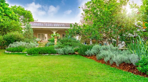 Greenery Planting in Reno