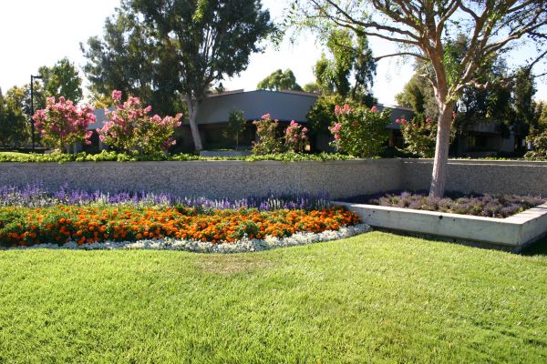 Commercial Landscape Service in Reno
