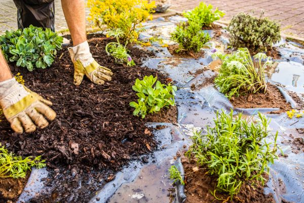 Mulch Fabric Installation in Reno